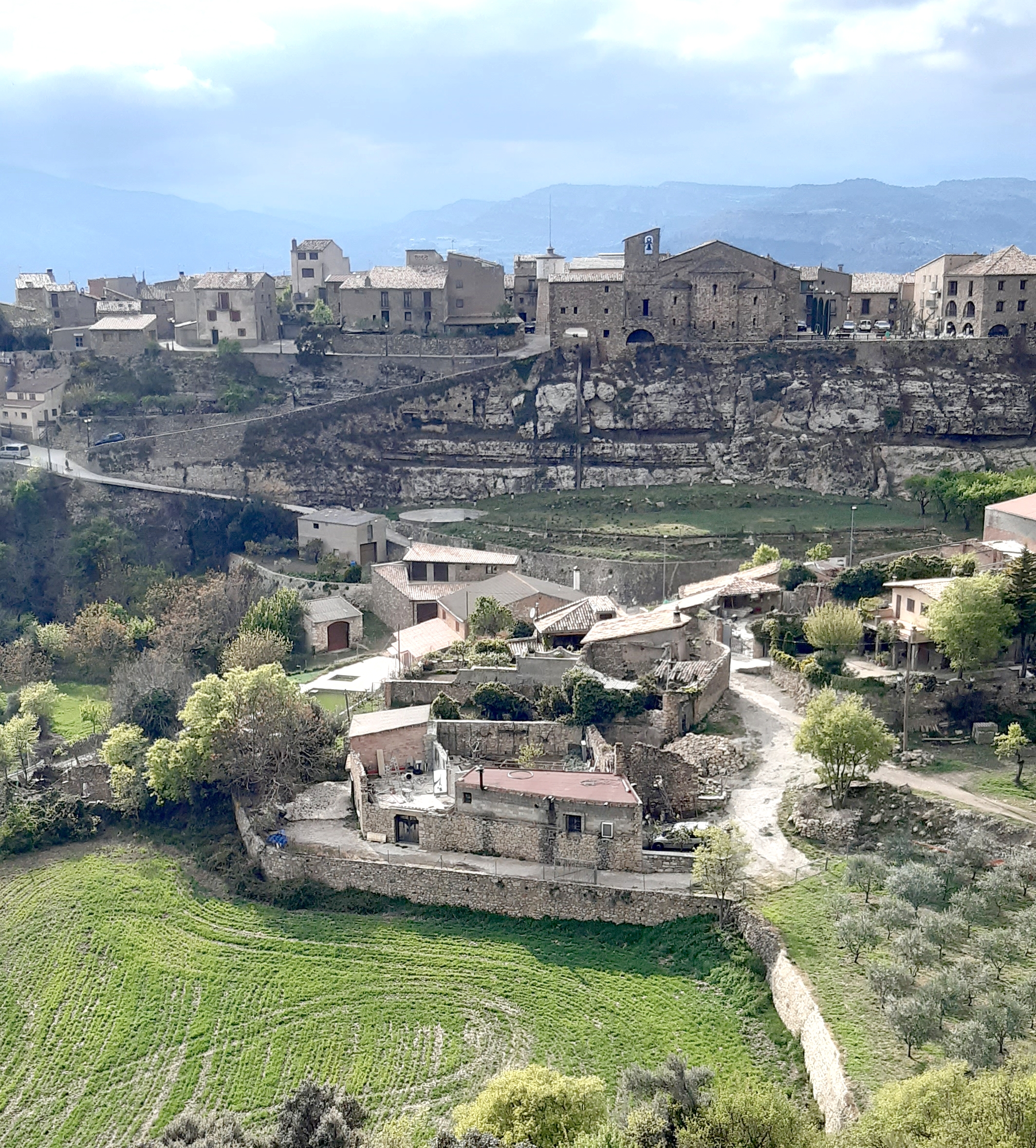 LLIMIANA ENTORN