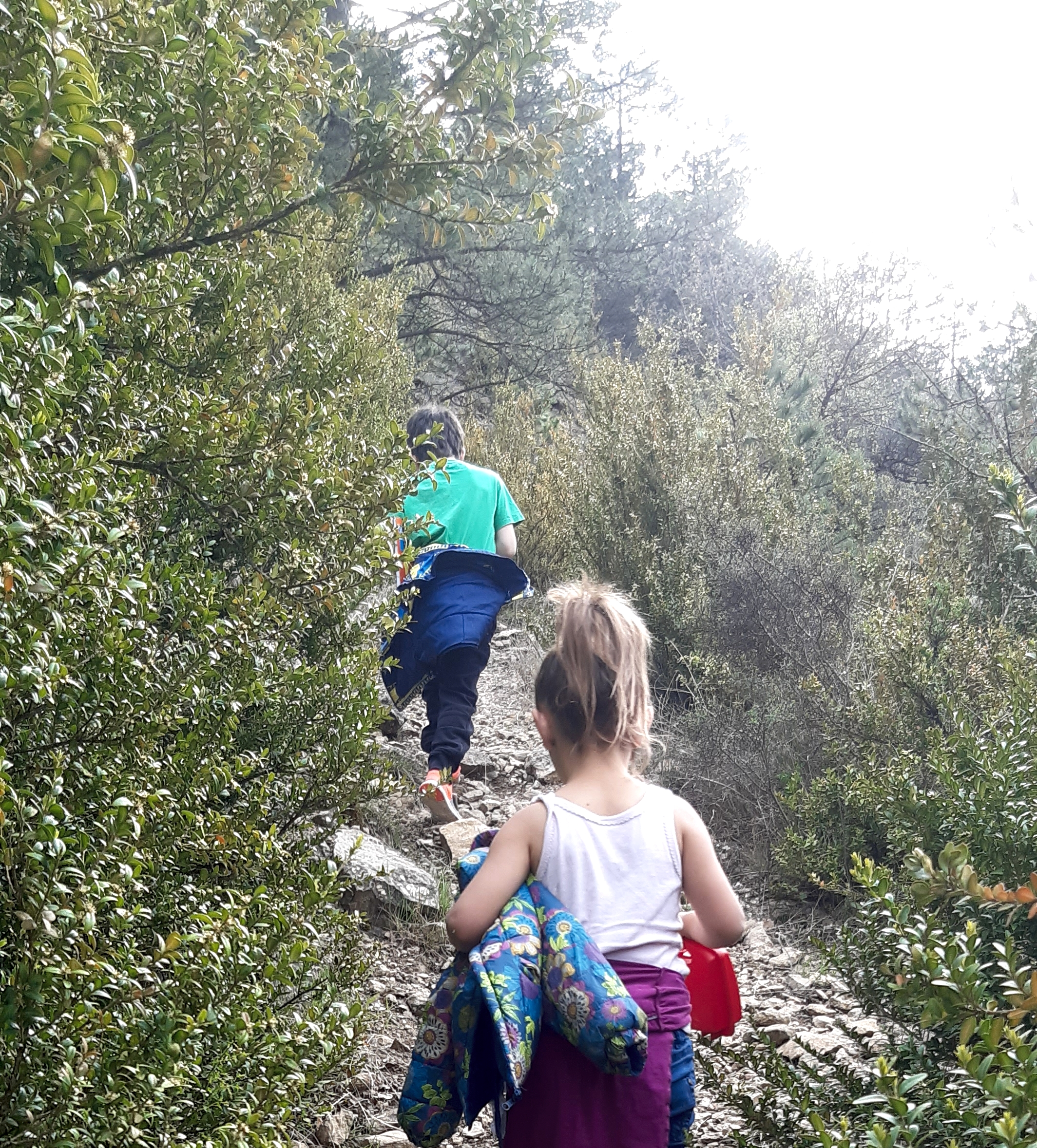 camins llimiana